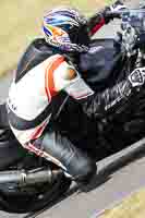 Lower Group Black Bikes